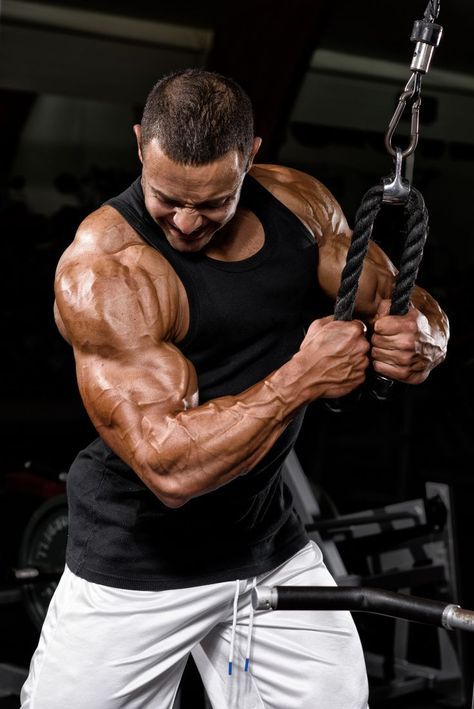 muscle buildind alpha fitness club